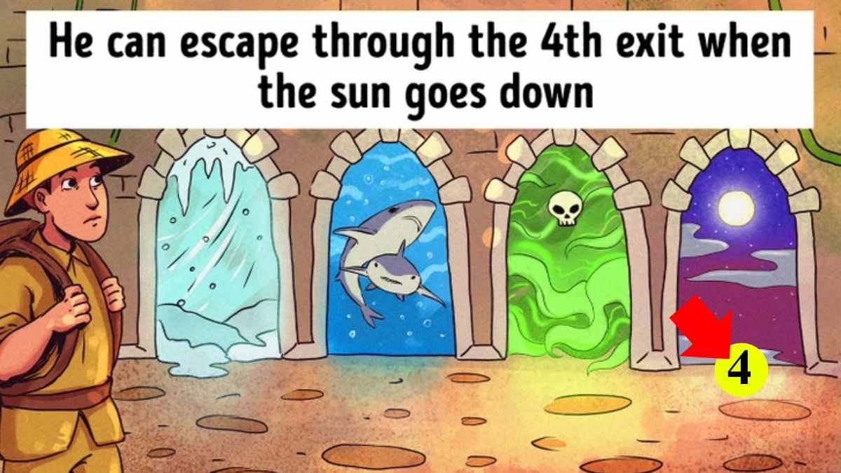 Енигма