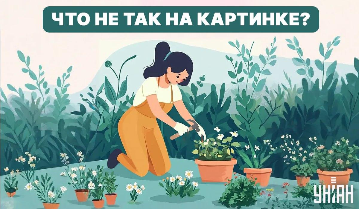 Опитайте се да откриете грешка / Колаж - Moje