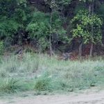 Само 19 секунди, за да откриете отговора: Къде е скрит