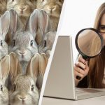 Всички виждат зайците, а само малцина ще видят котката за